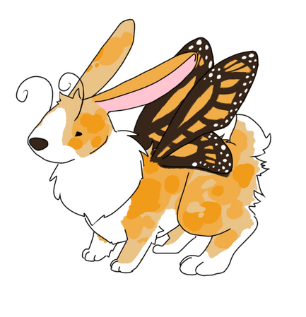 This one belongs to Krish